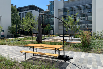 Rest of the World    image 3