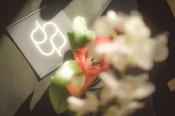 Leipzig PR & Marketing Event ADTV Tanzschule Schrittfest GmbH image 10