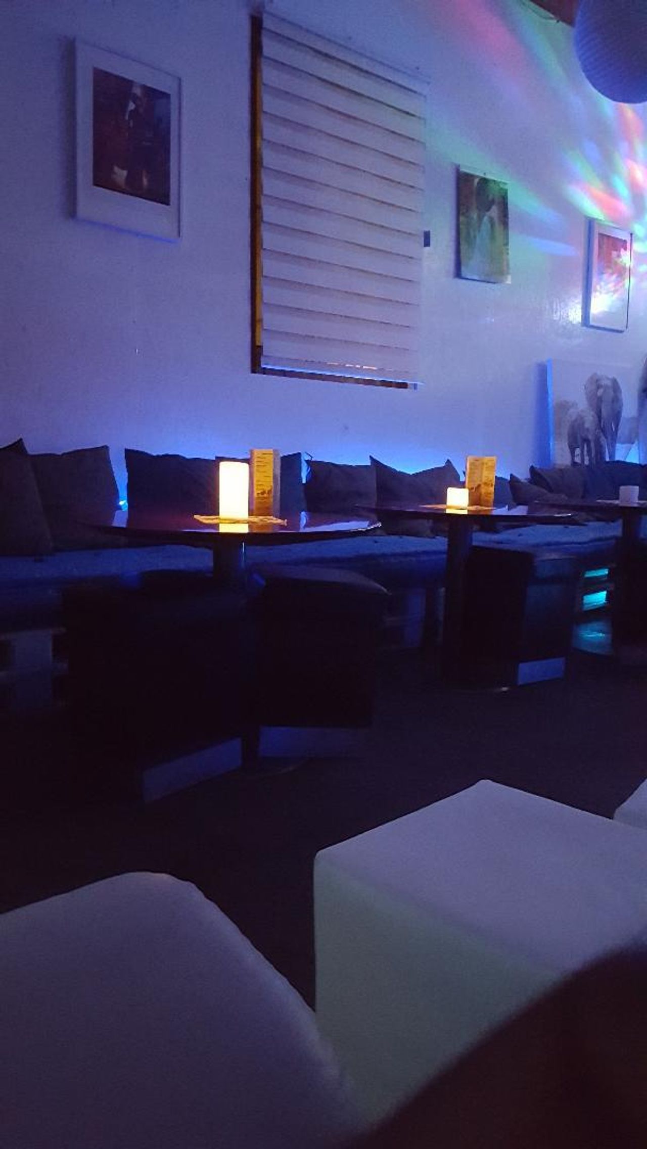 Frankfurt am Main PR & Marketing Event  Amarula Bar Frankfurt image 10