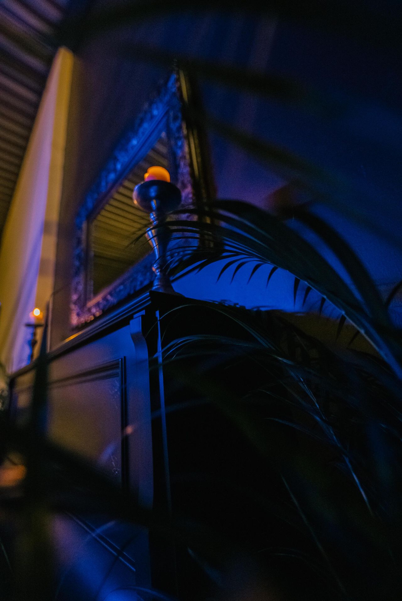 Rest der Welt    image 5