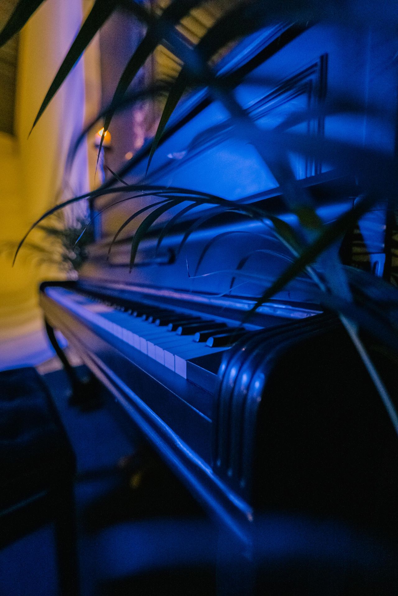 Rest der Welt    image 3