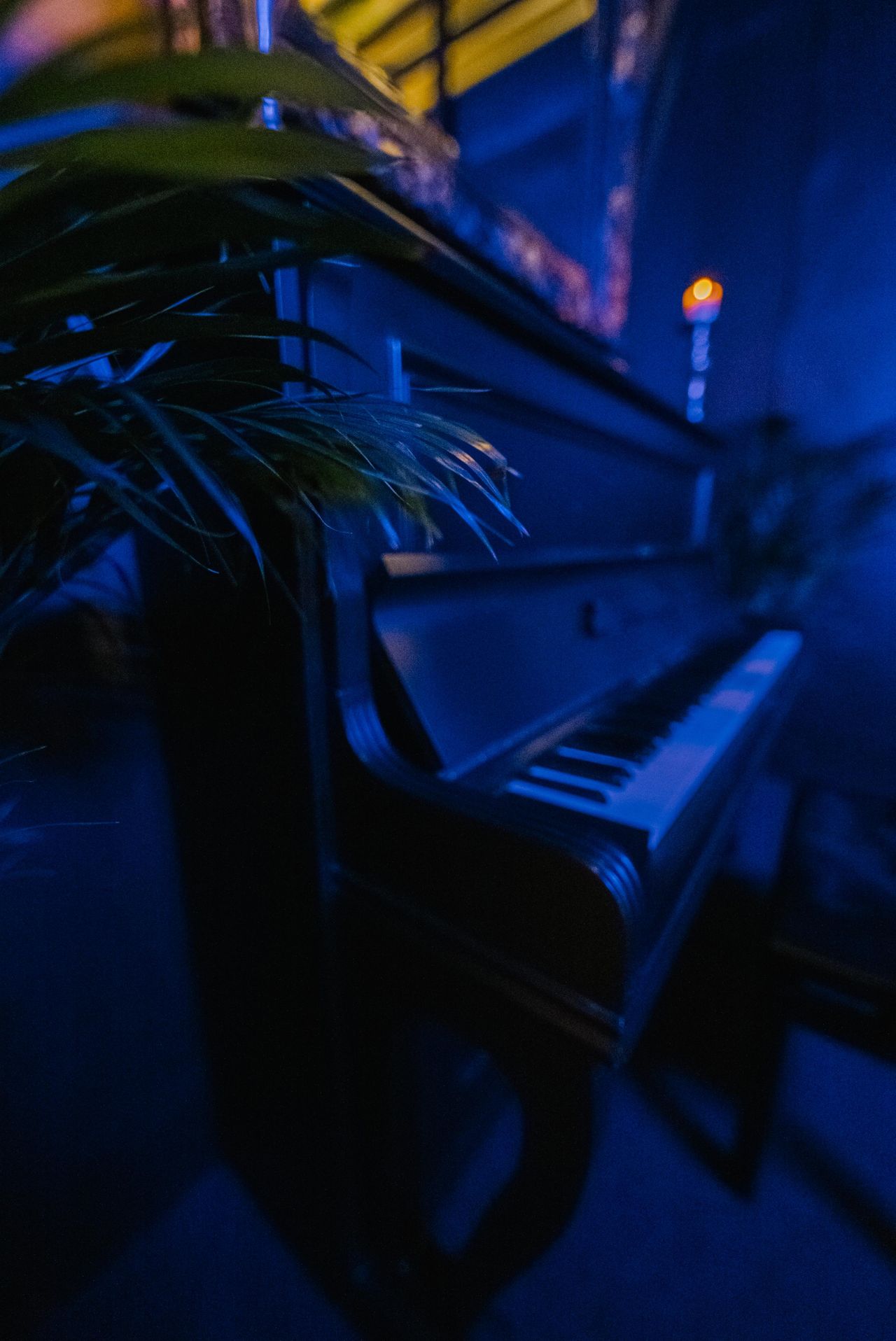 Rest der Welt    image 43