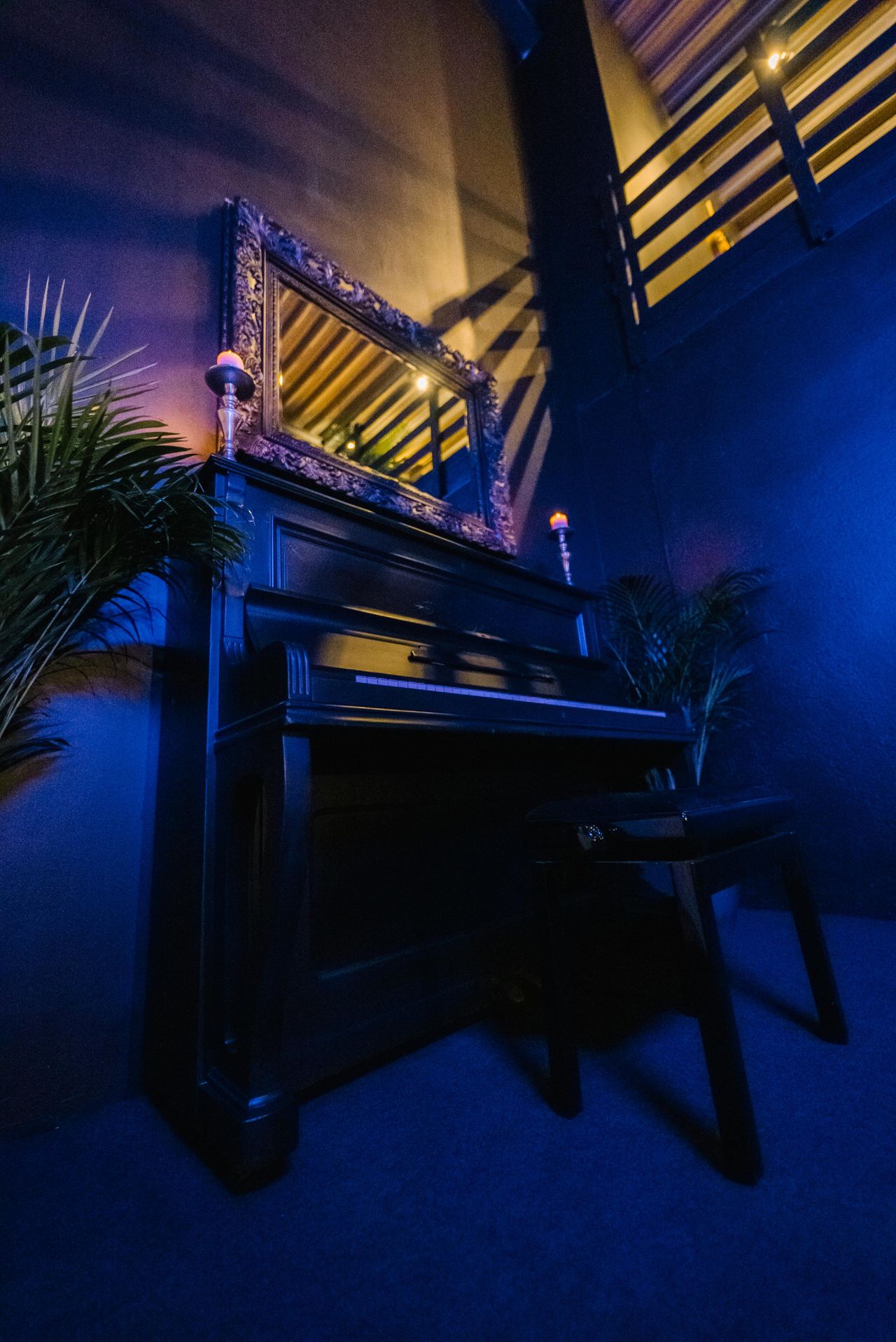 Rest der Welt    image 6