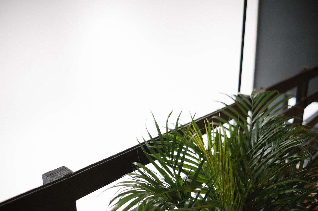 Rest der Welt    image 82