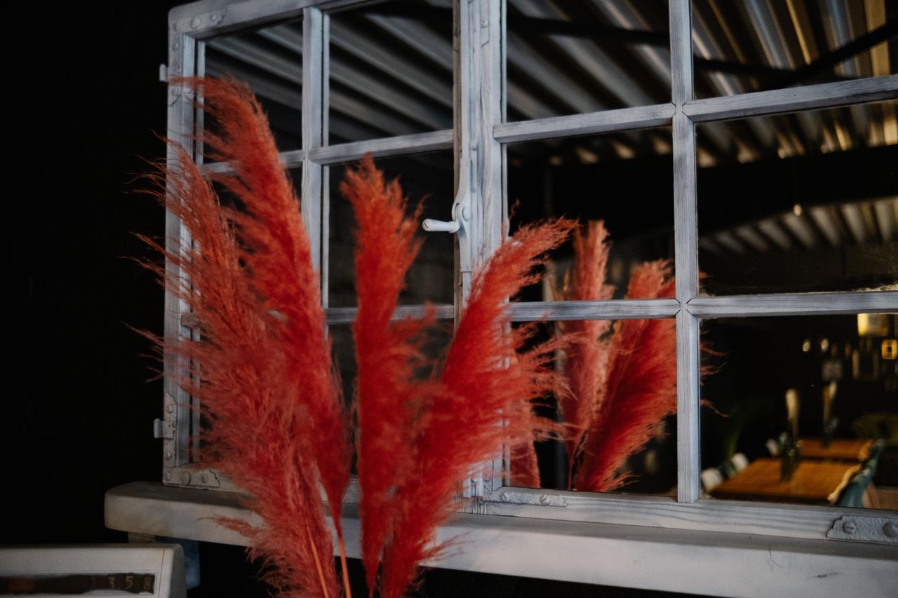 Rest der Welt    image 83