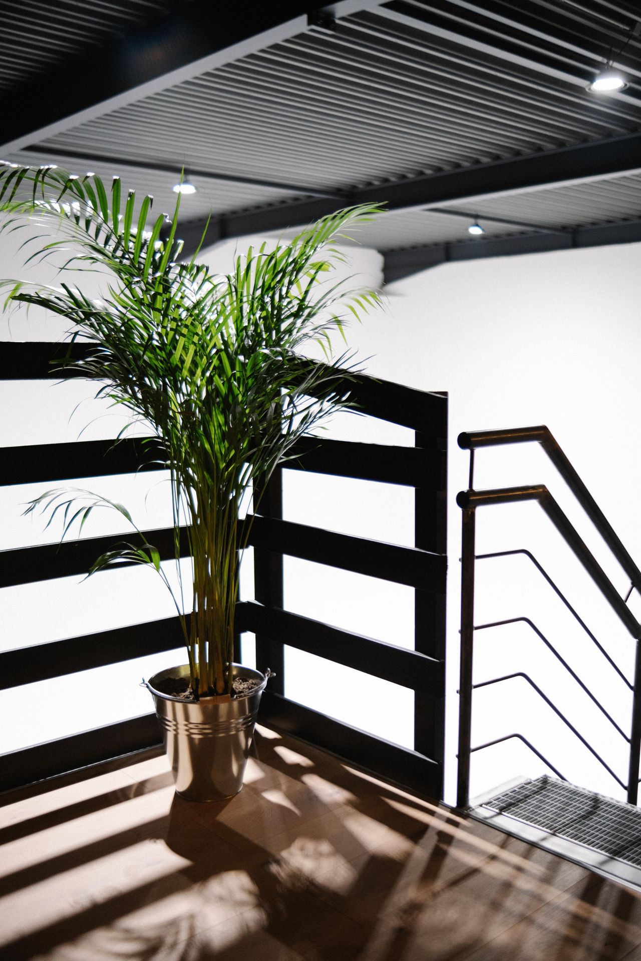 Rest der Welt    image 79