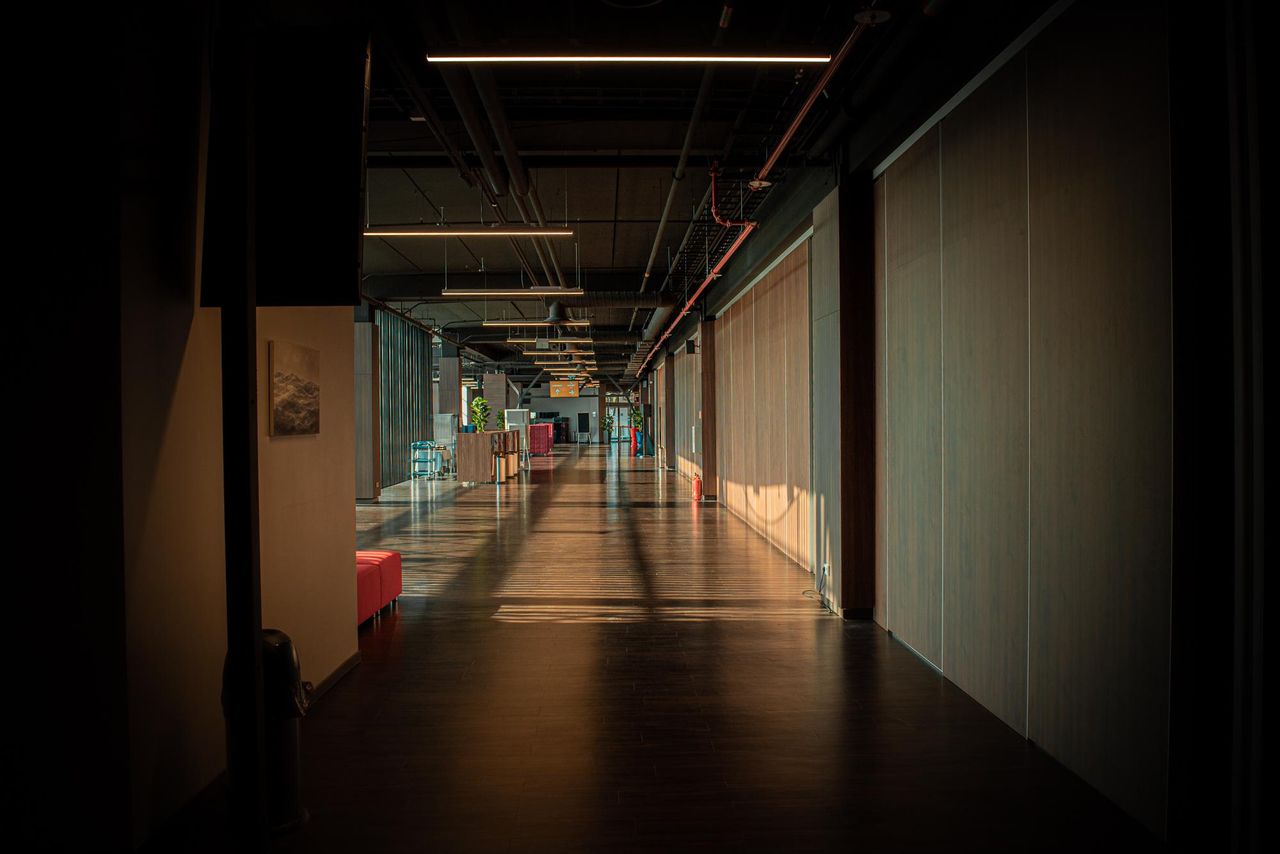 Rest of the World    image 5