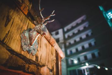 Ismaning Geburtstag  Cafe Cord's Winterhof image 10