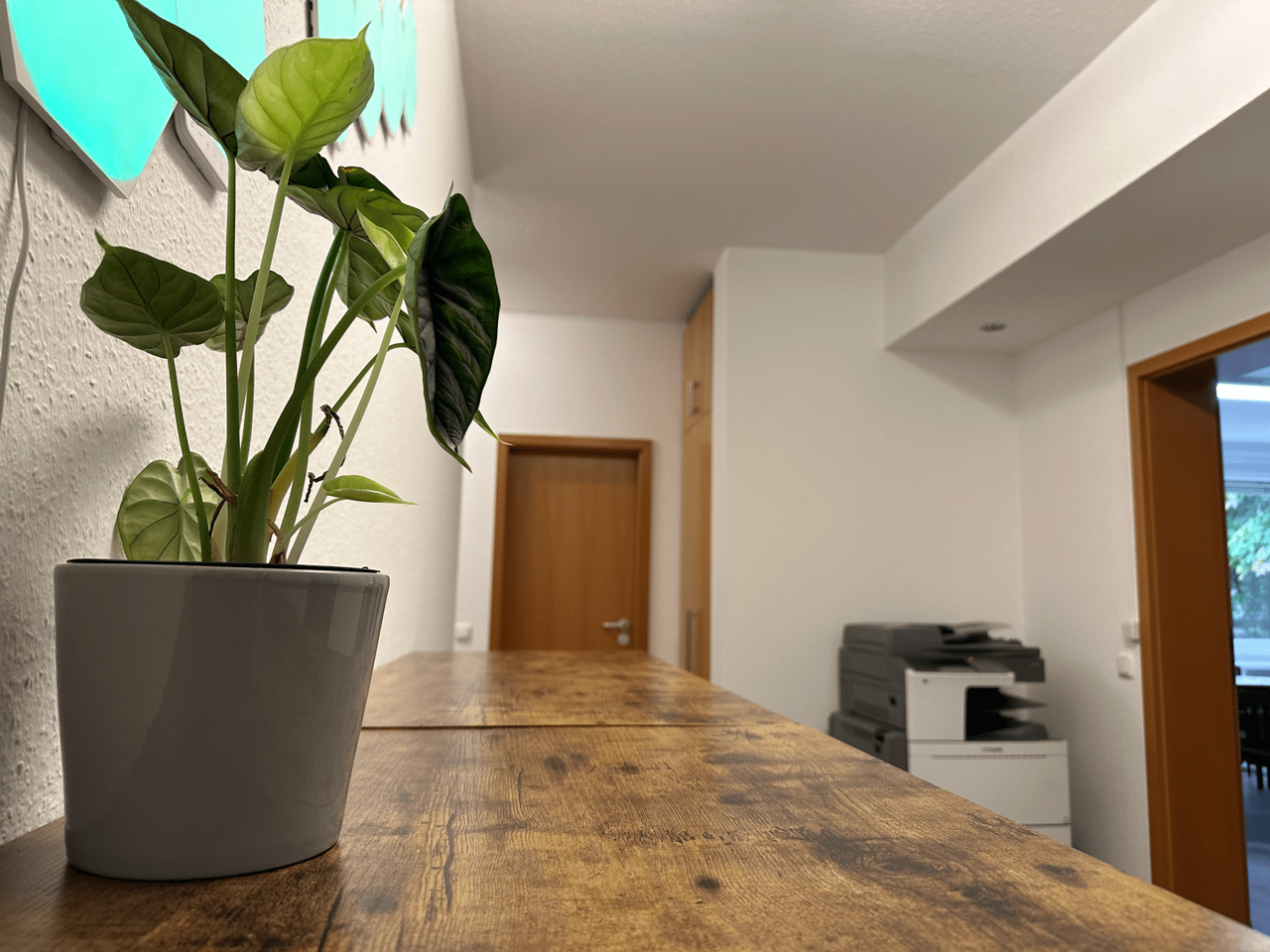 Rest of the World    image 3