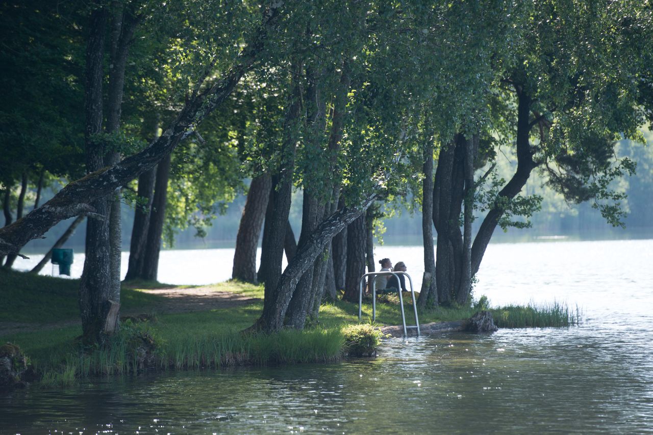 Rest of the World   Hildegard Lutz image 4