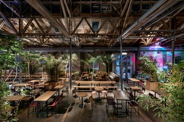 Wenen Mobiles Arbeiten Bijzondere locatie Cornelia Taubner image 2