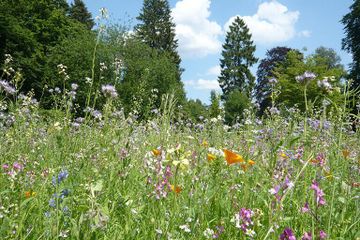 Hamburg training rooms Function Room Ohldorf - der Park image 0