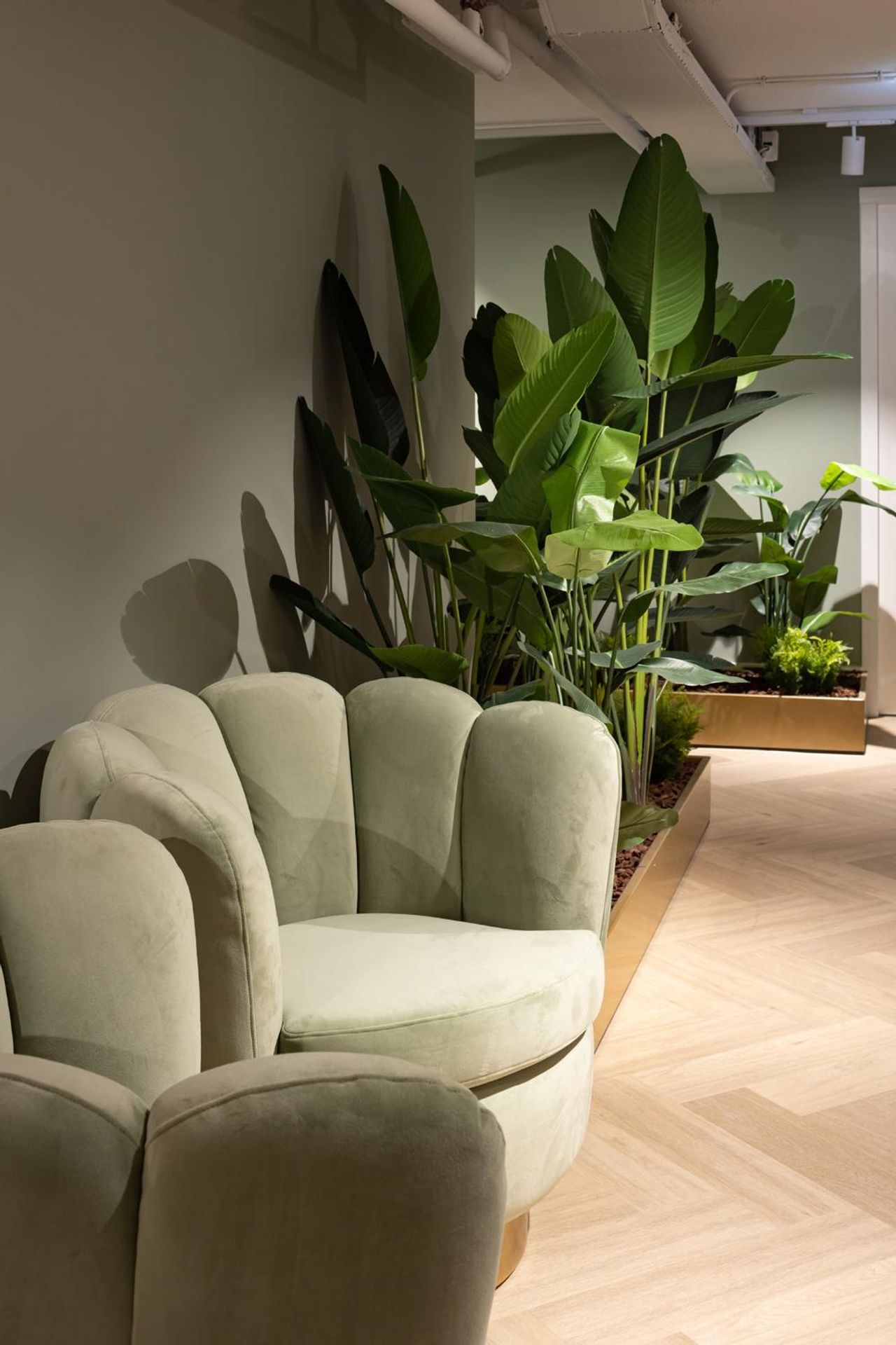 Rest of the World    image 11