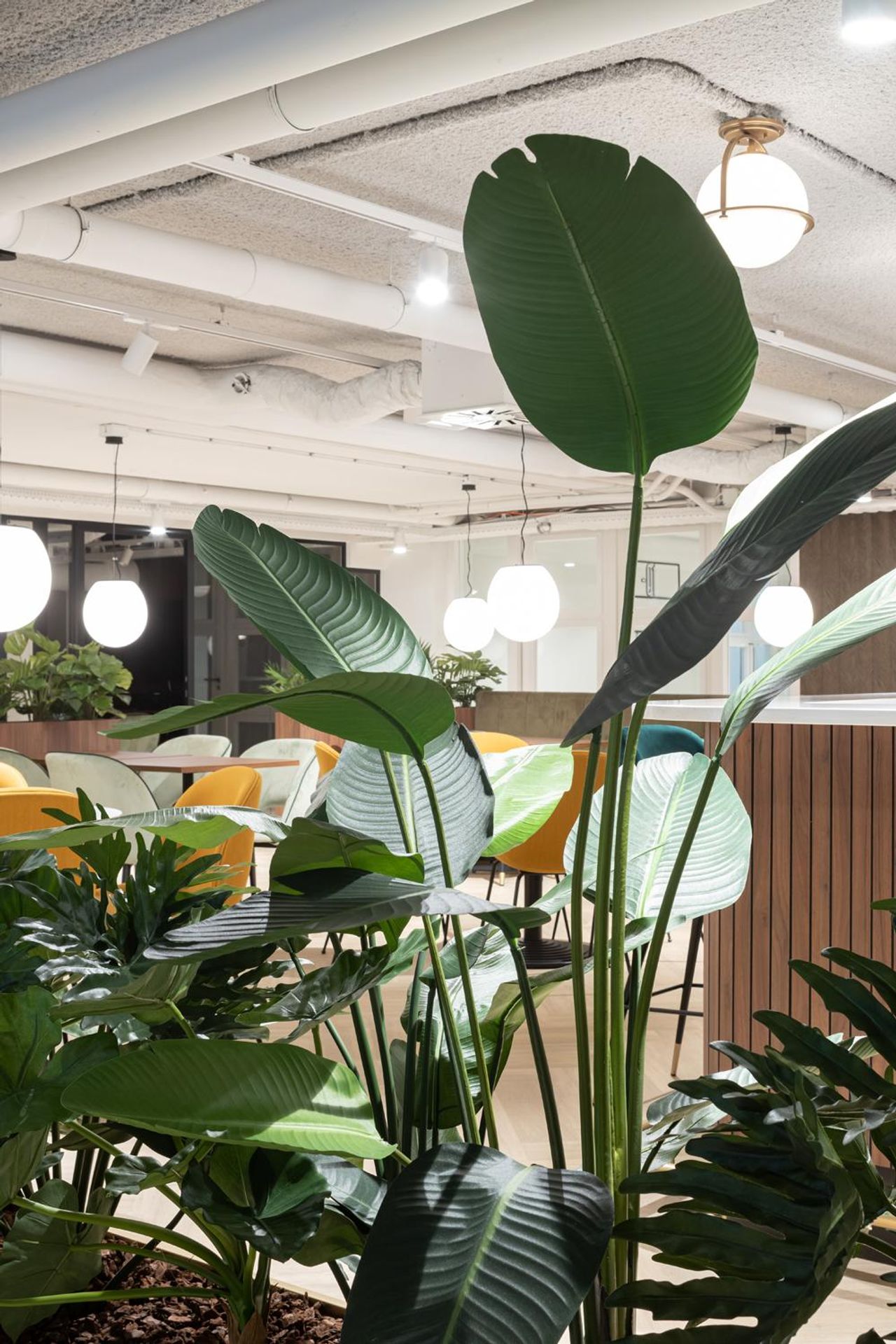 Rest of the World    image 19