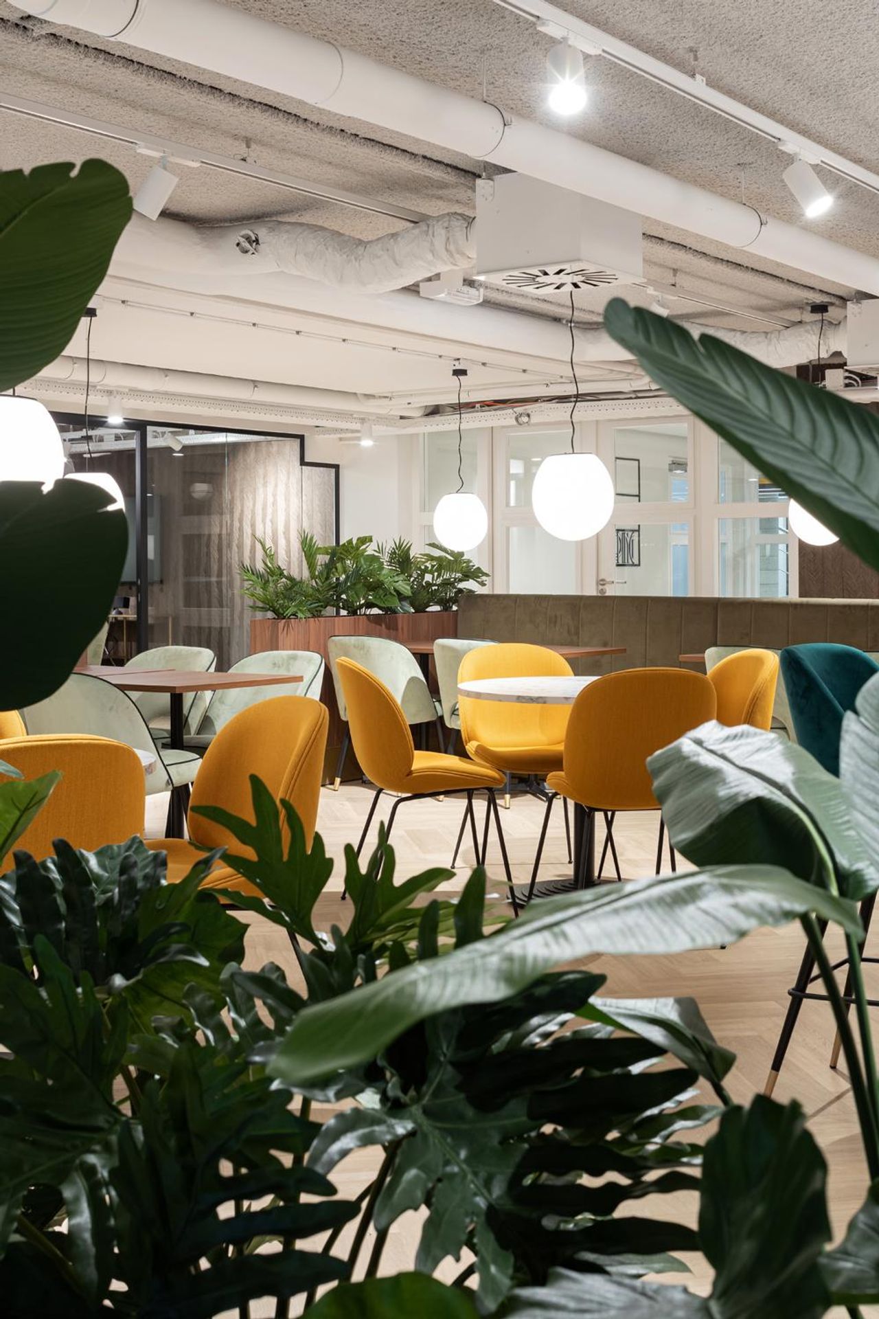 Rest of the World    image 20