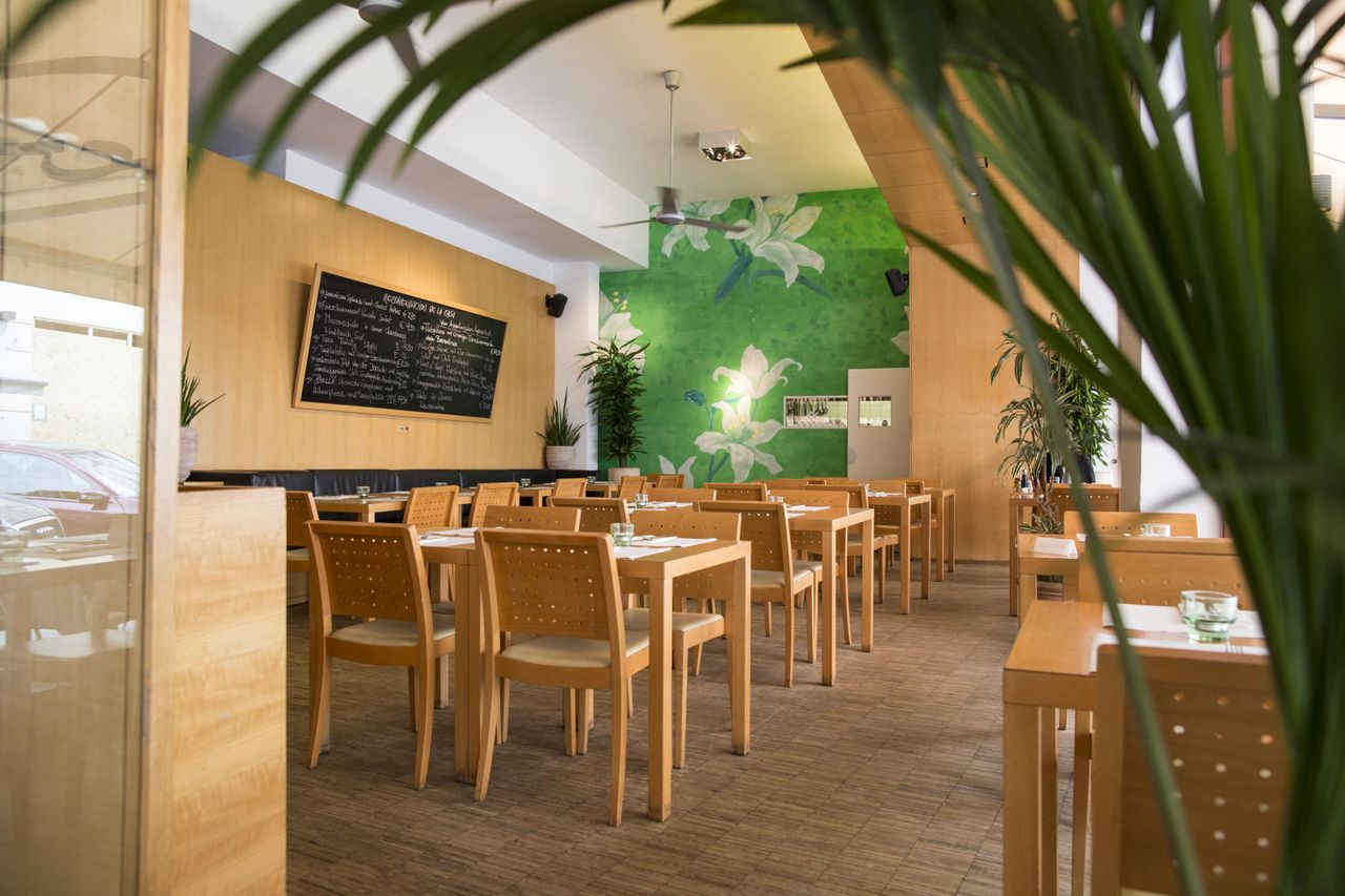 Wien Geburtstag  Comida & Ron image 10