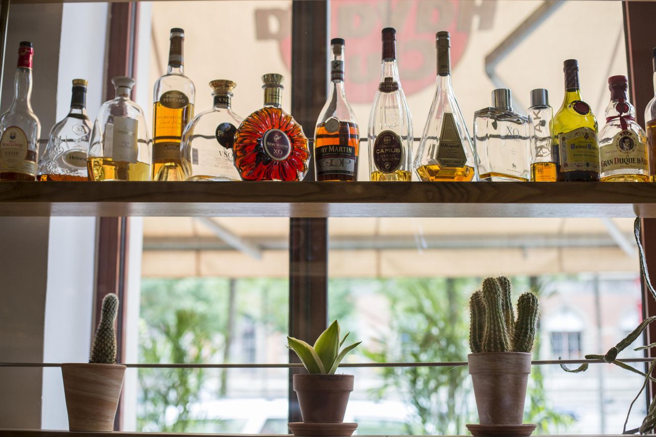 Wien Geburtstag  Comida & Ron image 10