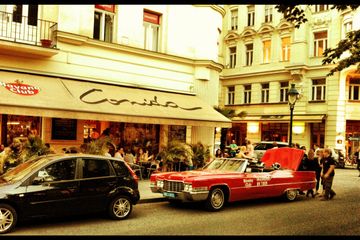 Wien Geburtstag Comida & Ron image 10