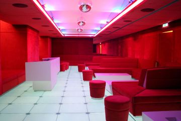 Wien Geburtstag Comida & Ron image 10