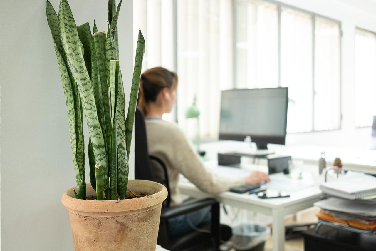 Rest der Welt   nidus coworking image 3