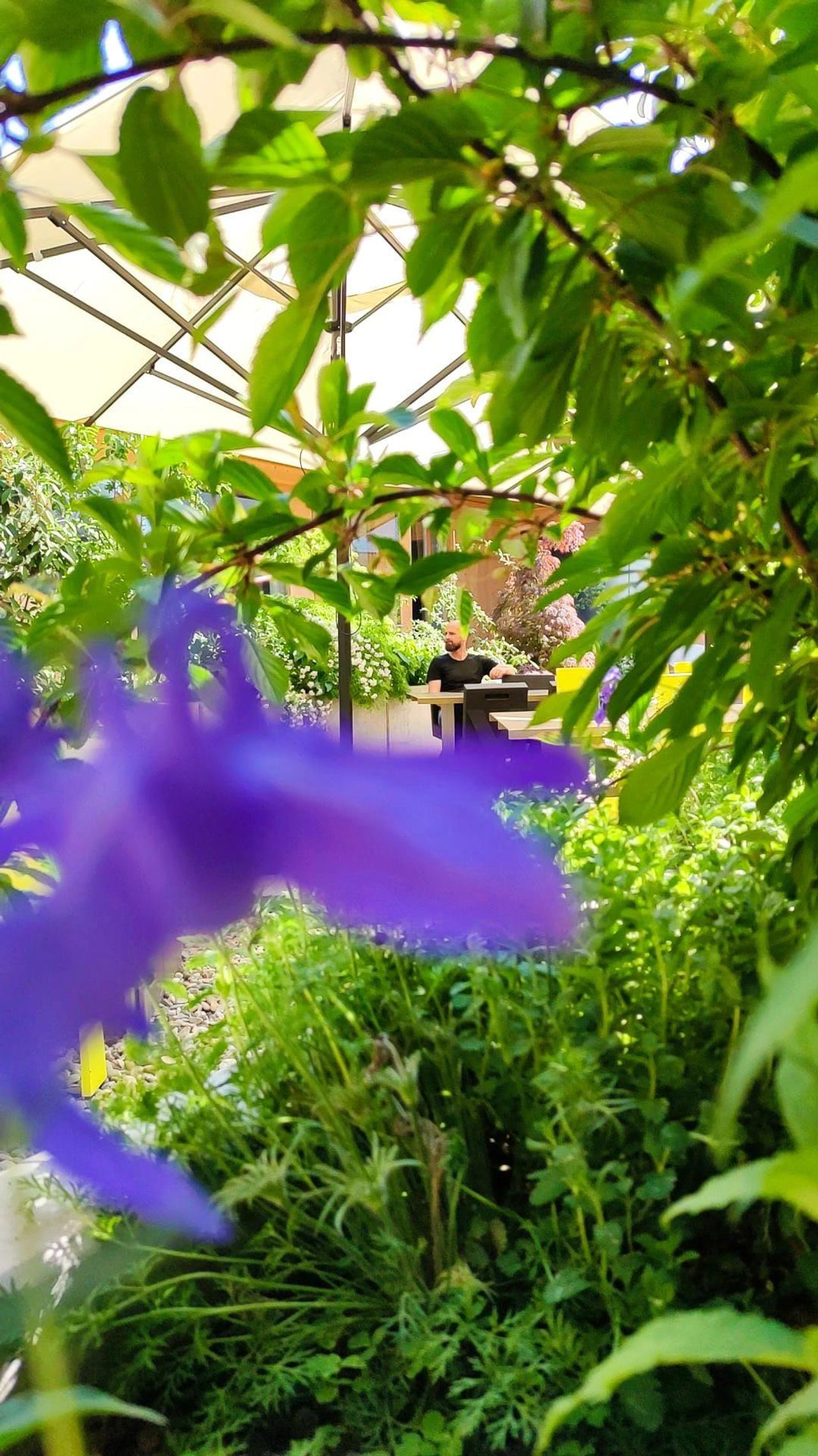 Rest of the World Kreatives Meeting Conference rooms  image 19