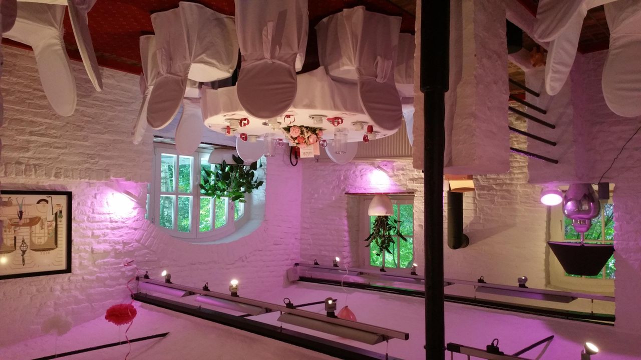 Rest of the World    image 8