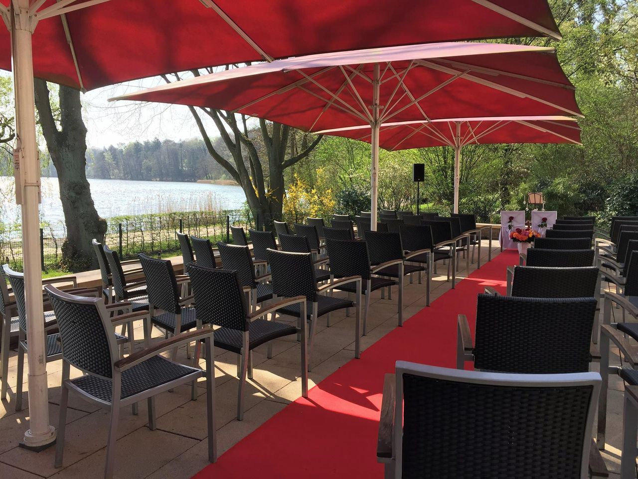 Rest of the World    image 7