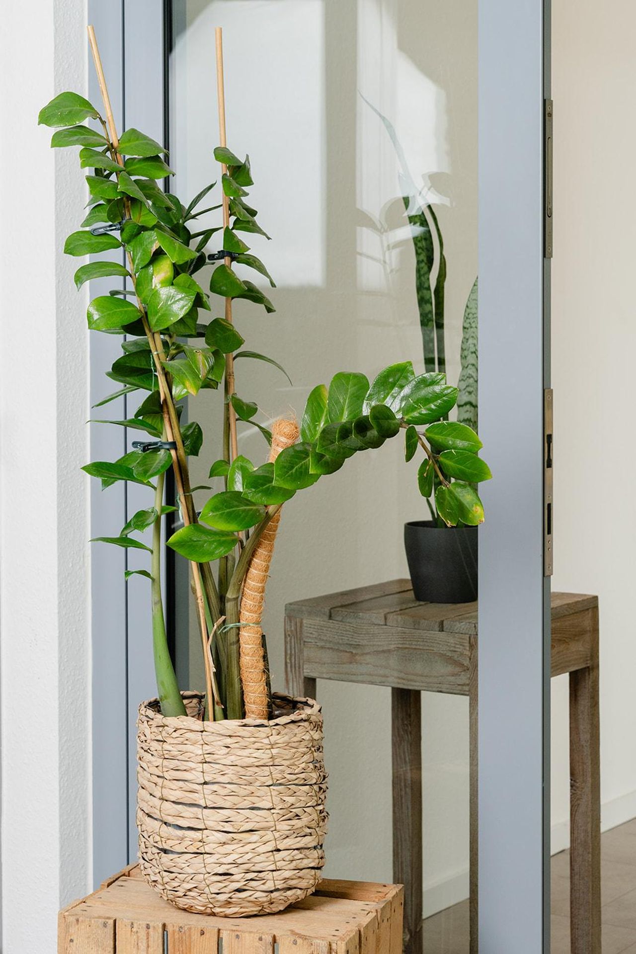 Köln Mobiles Arbeiten Coworking spaces Forum Food und Nachhaltigkeit image 3