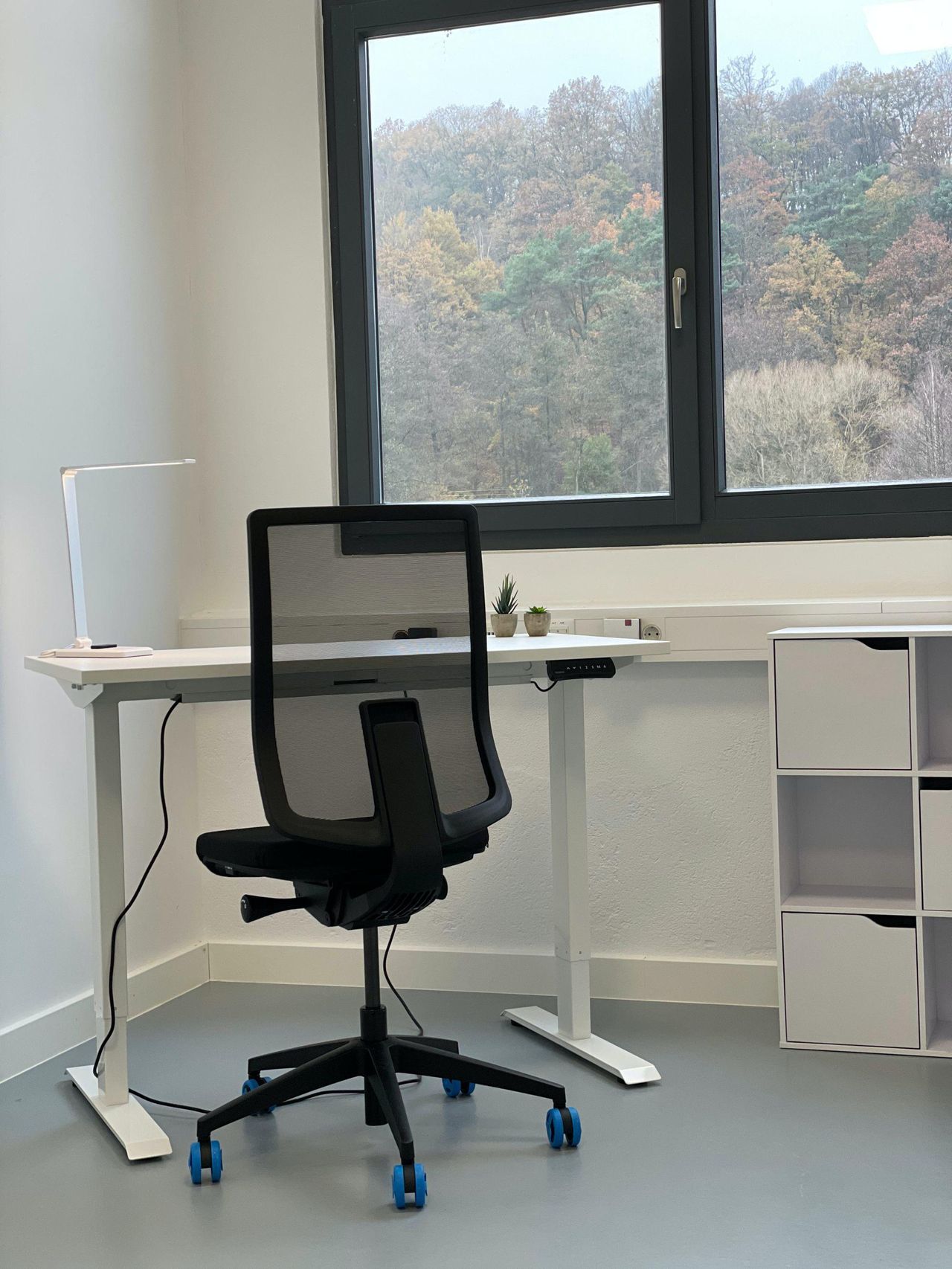 Rest of the World    image 7