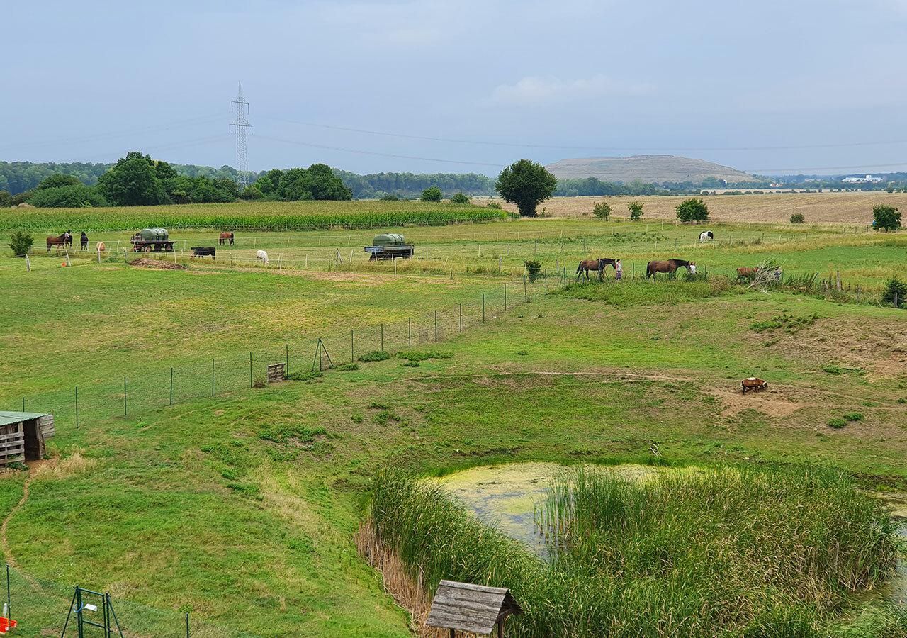 Rest der Welt  Veranstaltungsraum  image 0