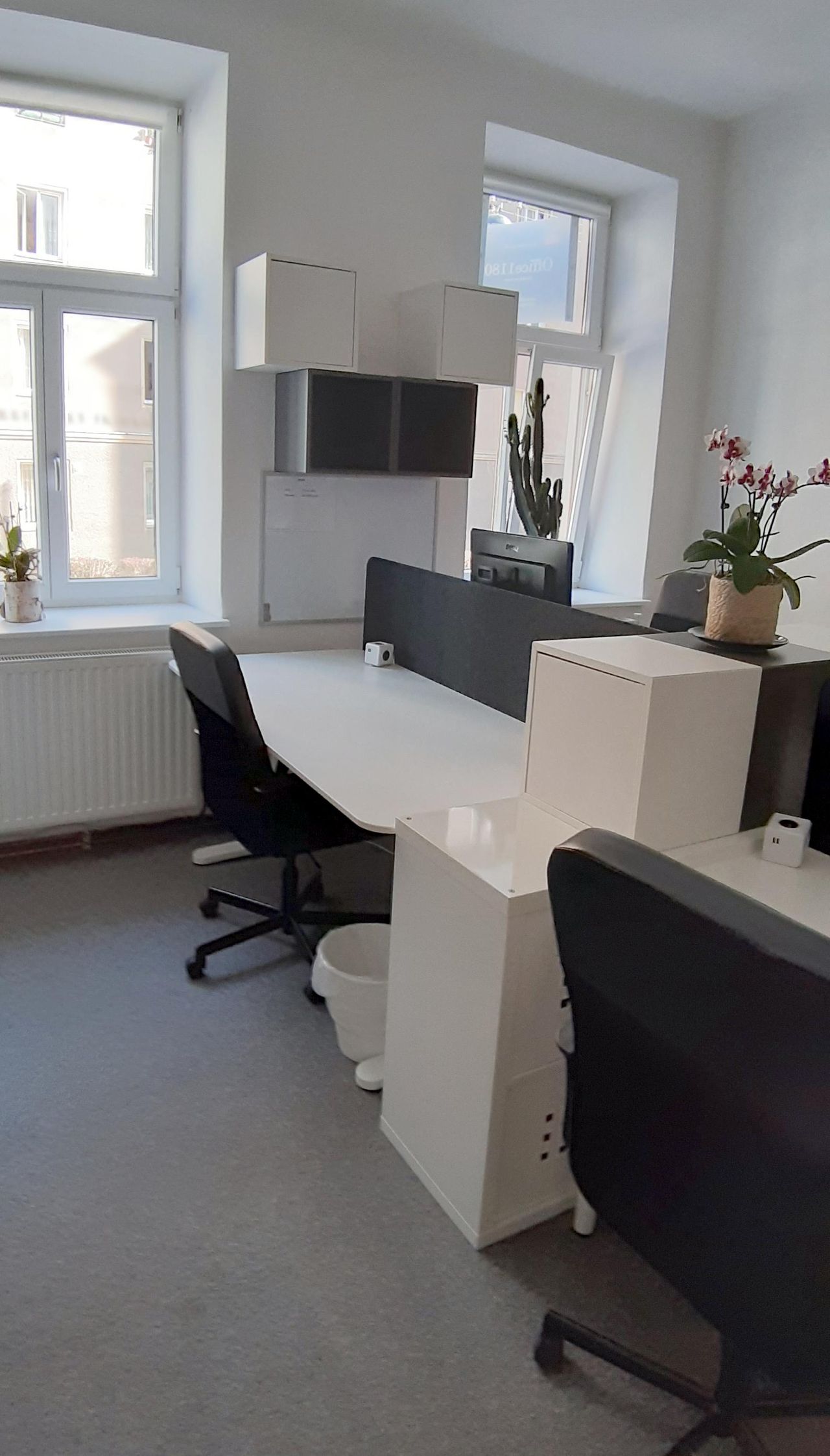 Rest der Welt    image 2