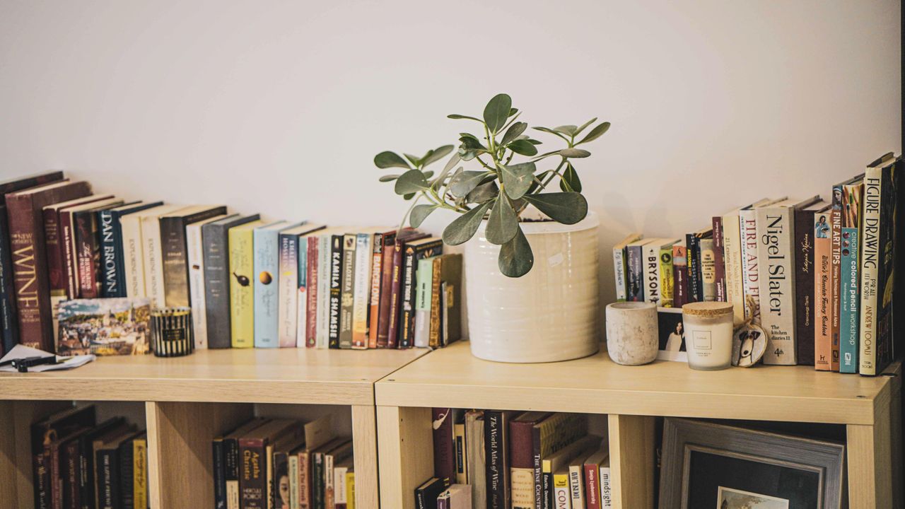 Rest of the World    image 5