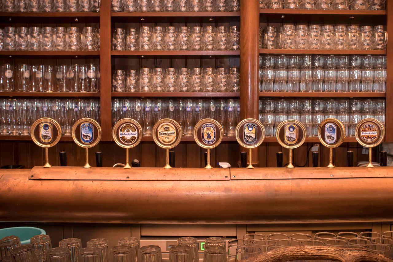 Rest of the World    image 4