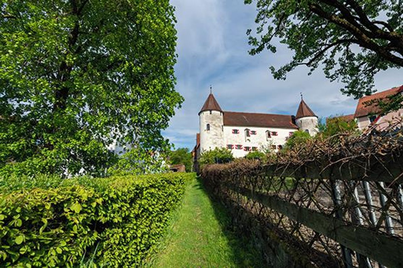 Rest of the World    image 0