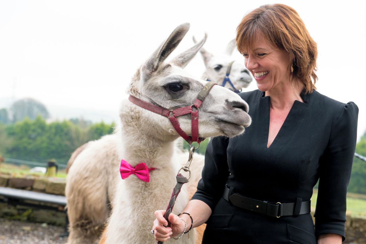 Rest van de wereld    image 4