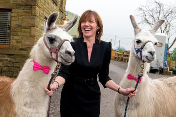 Rest van de wereld    image 1