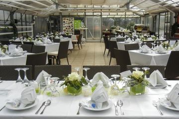 Elmshorn Geburtstag  Gewächshaus-Hamburg image 10