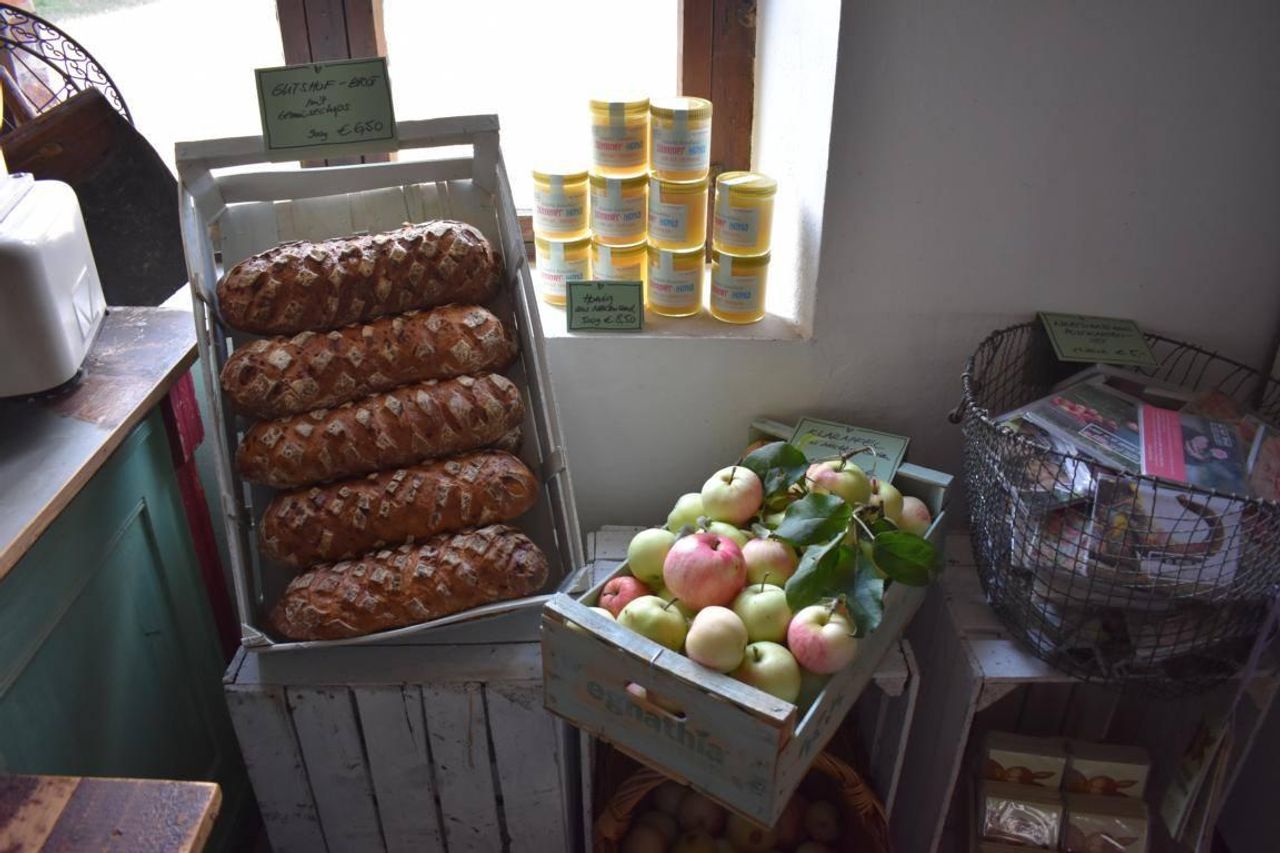 Rest der Welt PR & Marketing Event  Gut Neuensund mit Lenné-Park image 10