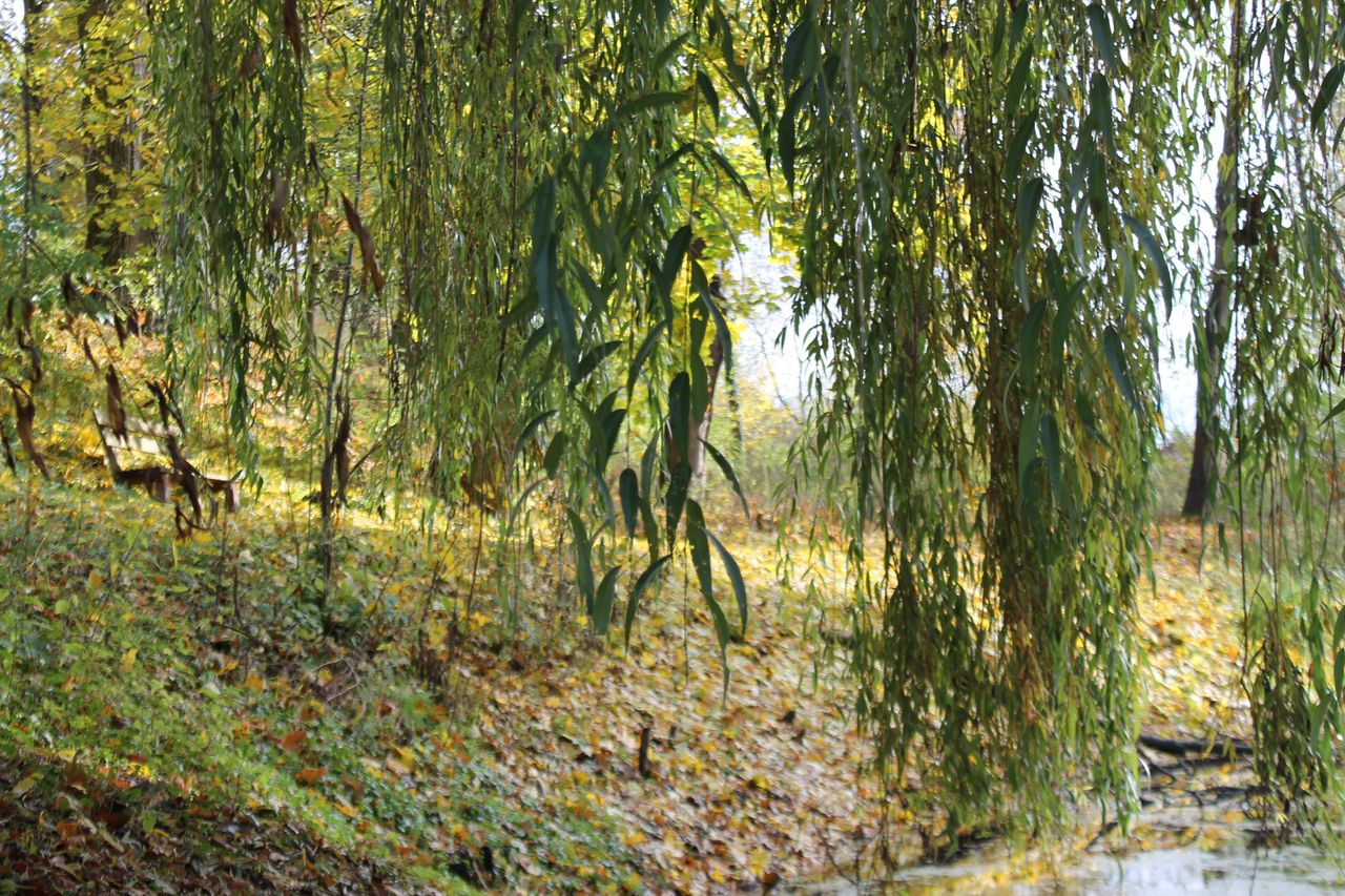 Rest der Welt PR & Marketing Event  Gut Neuensund mit Lenné-Park image 10