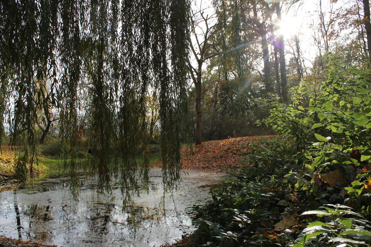 Rest der Welt PR & Marketing Event  Gut Neuensund mit Lenné-Park image 10