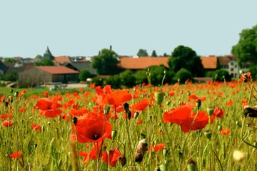 Frankfurt am Main PR & Marketing Event Veranstaltungsraum Hofgut Habitzheim image 10