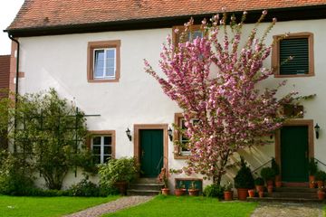 Frankfurt am Main PR & Marketing Event Veranstaltungsraum Hofgut Habitzheim image 10