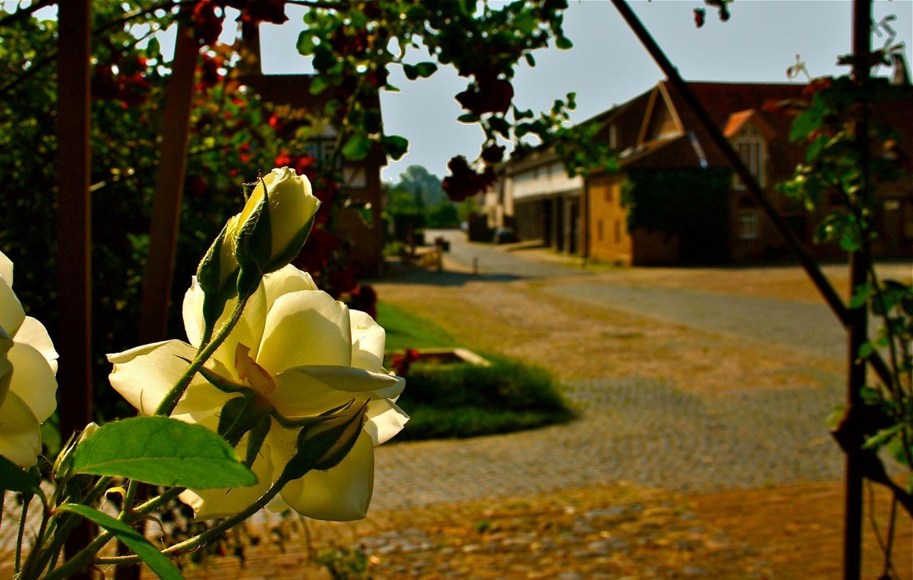 Frankfurt am Main PR & Marketing Event Veranstaltungsraum Hofgut Habitzheim image 10