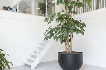 Rest of the World   Elephant Room image 7