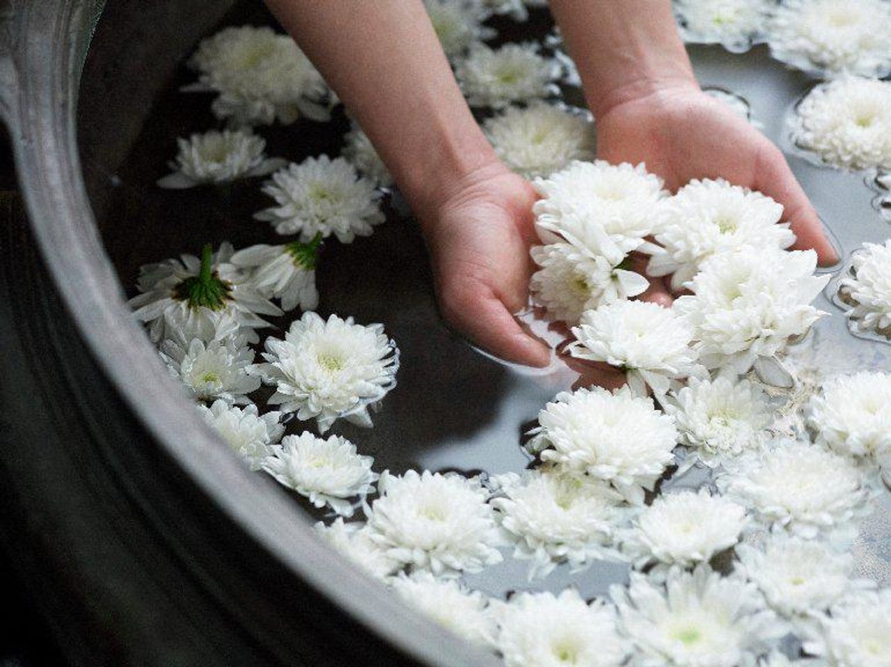 Cologne   Hyatt Regency Köln image 1607