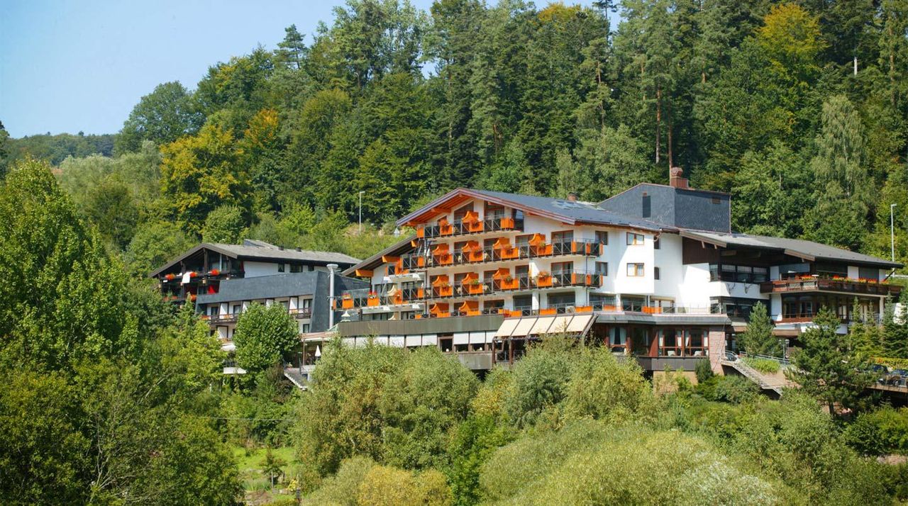 Rest of the World   Ringhotel Mönchs Waldhotel image 2369