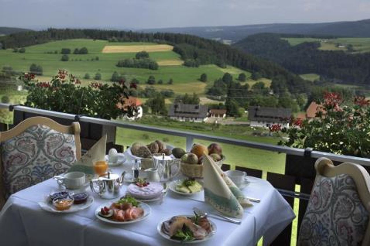 Rest of the World   Hotel Saigerhöh image 1078