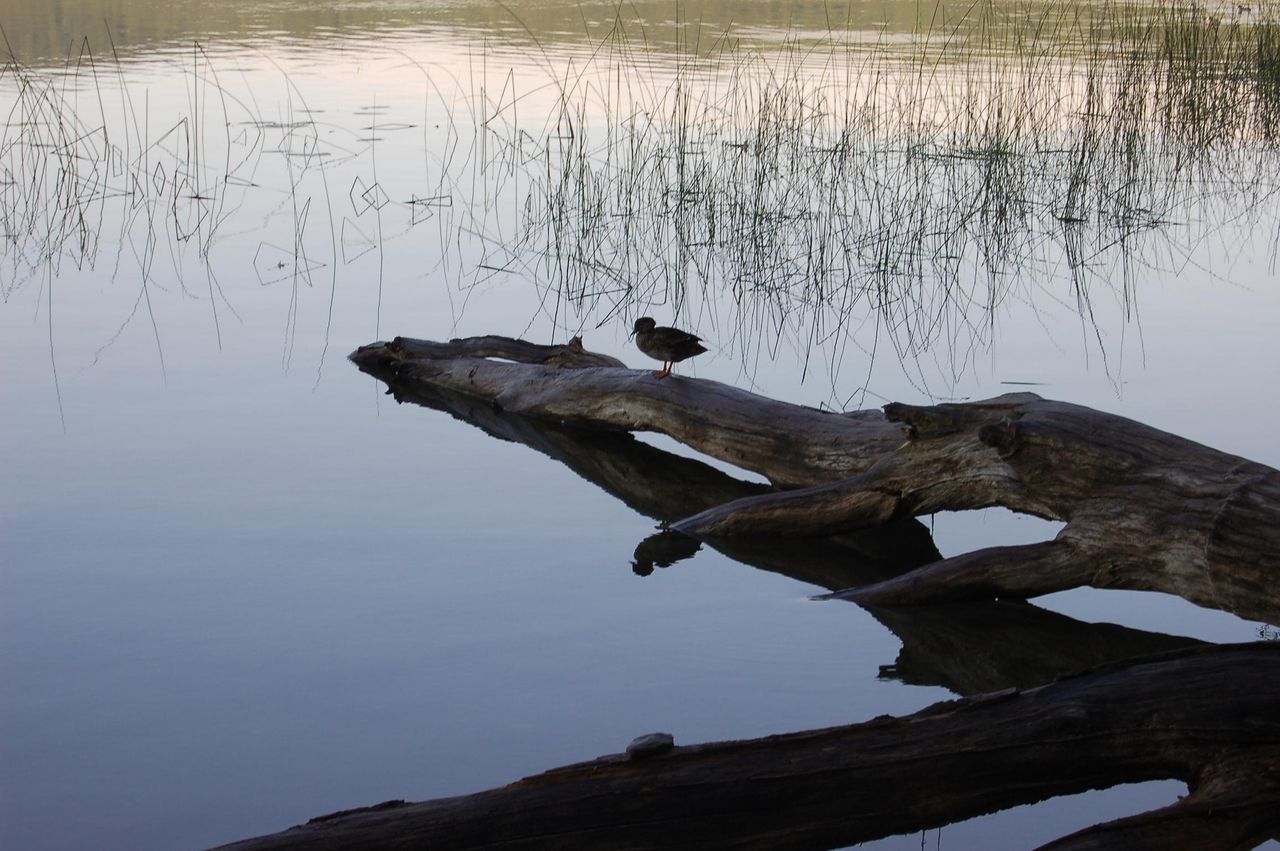 Rest of the World   Seehotel Maria Laach image 5666