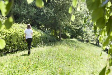 Rest der Welt   Caritas Tagungszentrum image 0