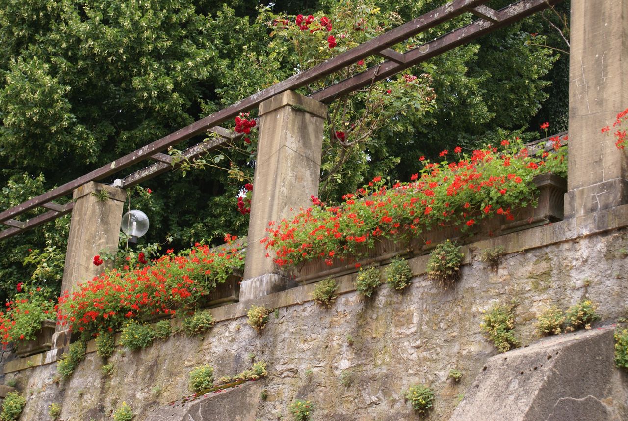 Rest der Welt   Caritas Tagungszentrum image 1